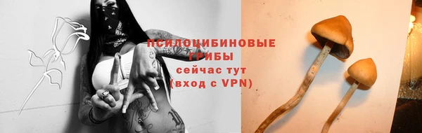 кокаин перу Бородино