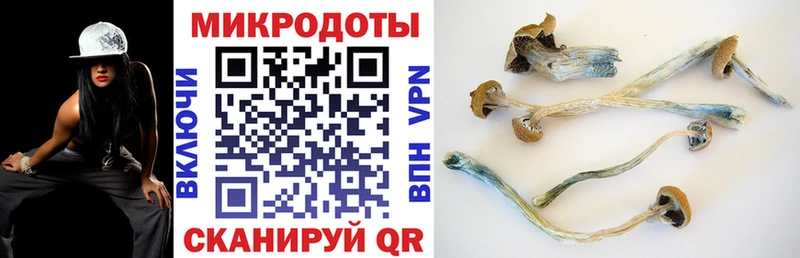 Псилоцибиновые грибы прущие грибы  МЕГА tor  Гулькевичи 