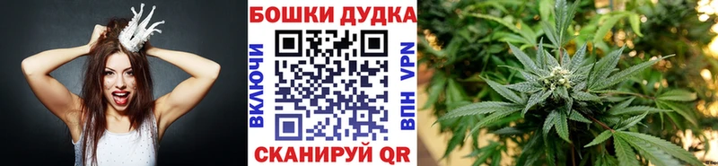 Бошки марихуана Amnesia Гулькевичи